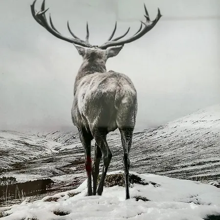 Panorama Karkonoszy - Komfort Z Widokiem Na Sniezke I Aquapark * カルパッチ