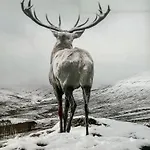 Panorama Karkonoszy - Komfort Uzdrowisko Z Widokiem Na Sniezke I Aquapark * Karpacz