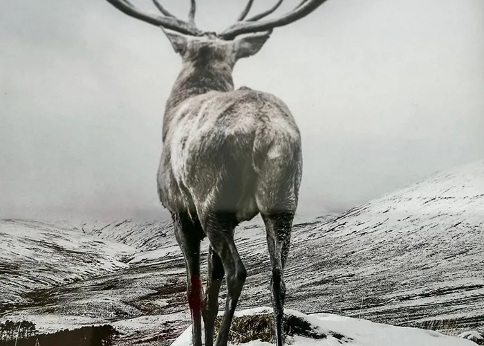 Panorama Karkonoszy - Komfort Z Widokiem Na Sniezke I Aquapark * 카르파츠